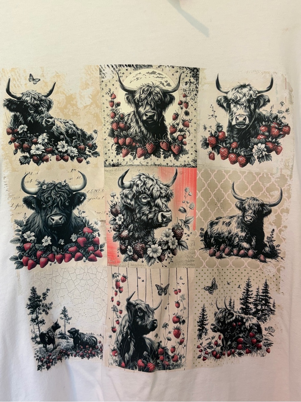 Bella Canvas White long sleeve tee top women’s highland cows 100% cotton